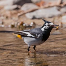 面部<strong>美容</strong>護膚步驟及注意事項——打造健康動人的肌膚