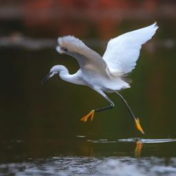 <strong>美容</strong>護膚正確步驟：打造健康年輕的肌膚