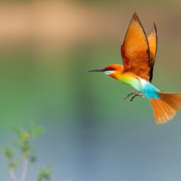 如何正確進行<strong>美容</strong>護膚全套步驟方法及操作注意事項？