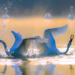 美容護(hù)膚屬于什么類目及美容護(hù)膚屬于什么類目行業(yè)