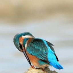 如何選擇適合自己的<strong>美容</strong>護(hù)膚產(chǎn)品？- <strong>美容</strong>護(hù)膚選哪個(gè)好用？