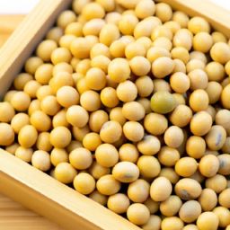 黃豆<strong>美容</strong>護(hù)膚的功效與作用：拯救你的肌膚