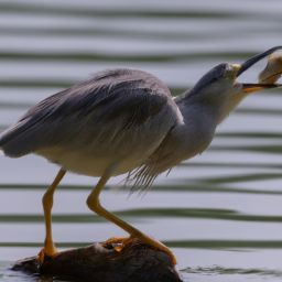 <strong>美容</strong>護(hù)膚是否必要？美麗與健康的秘訣揭曉！