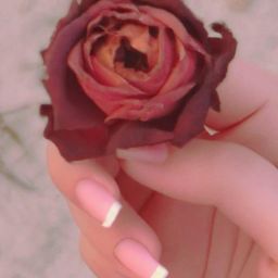 剛出月子可以做<strong>美容</strong>護膚嗎？-保持美麗的疑問與考量